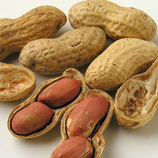 Food Allergies